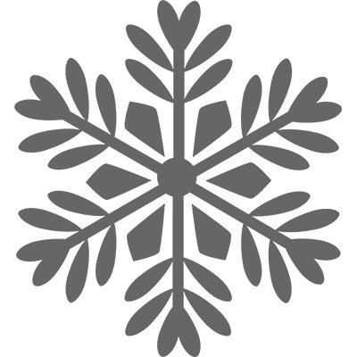 #132338 Bold Snowflake